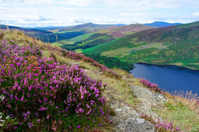 Scenic view of purple mountains against sky