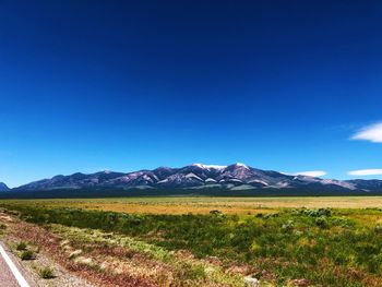 Scenic view of field against blue sky