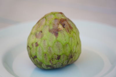 Close-up of fruit in plate