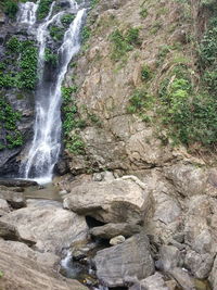 Close-up of waterfall against trees