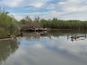 Scenic view of lake against sky