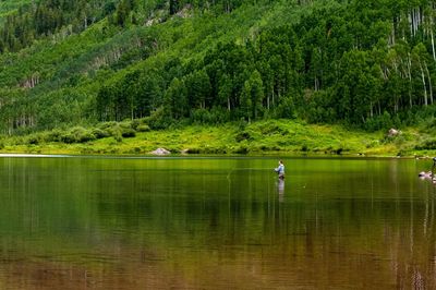 Man fishing in lake against trees in forest