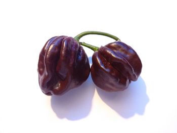 Close-up of fruits against white background