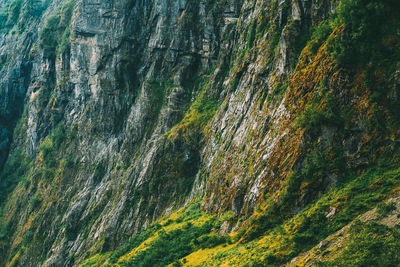 Full frame shot of rock formation