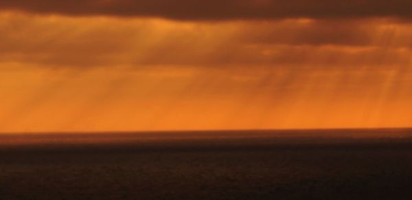 Scenic view of field against orange sky