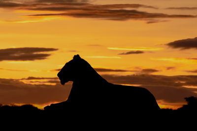 Silhouette cat against sky during sunset