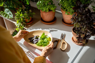 High angle view of food on table