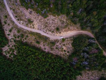 Aerial view of road amidst trees at forest