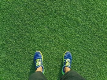 Low section of person standing on field