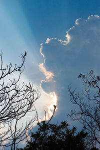 Low angle view of bare tree against sky