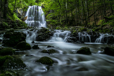 Scenic view of waterfall in forest