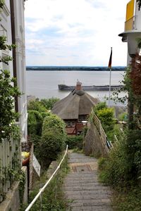 Plants by building against sky