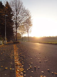 Road passing through bare trees