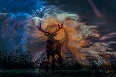 Digital composite image of deer on field