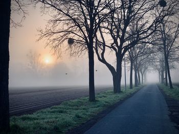 Road amidst trees against sky during foggy weather