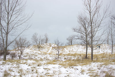 Bare trees on snow covered landscape