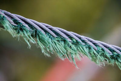 Close-up of rope