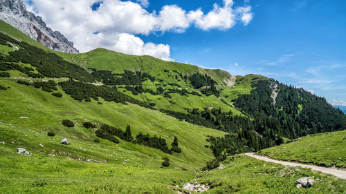 Scenic view of landscape against sky