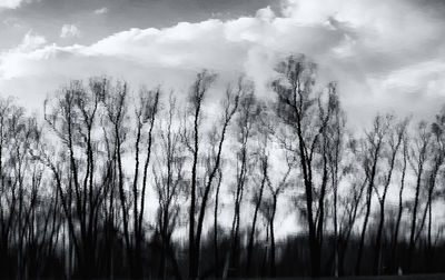 Low angle view of bare trees against cloudy sky
