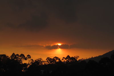 Silhouette trees against dramatic sky during sunset