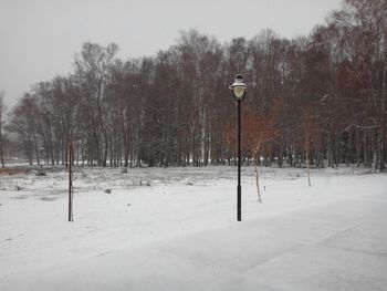 Snow covered landscape