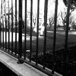 Close-up of metal structure against trees