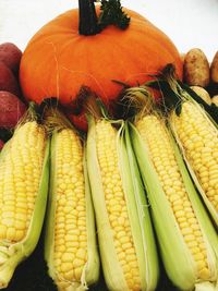 High angle view of pumpkins