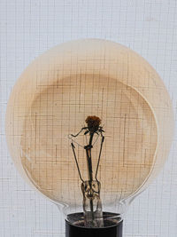 Close-up of electric lamp against wall