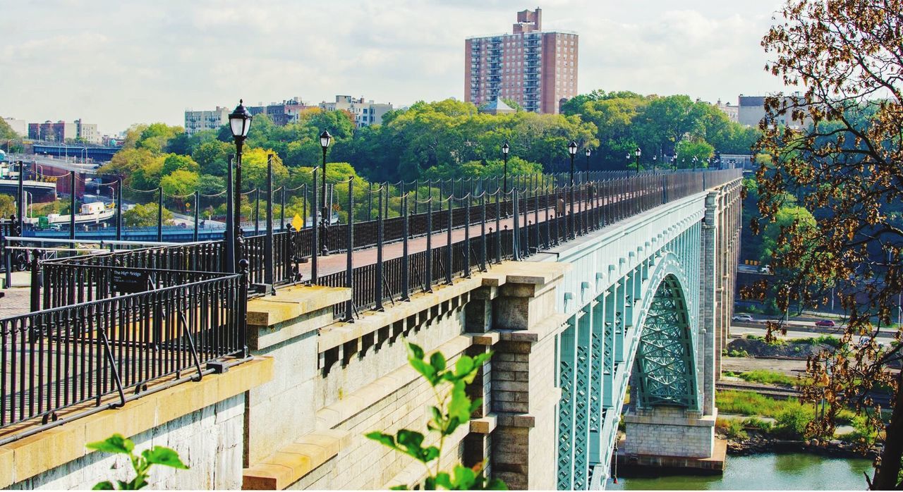 architecture, built structure, building exterior, city, tree, connection, railing, bridge - man made structure, residential building, engineering, river, bridge, sky, skyscraper, day, outdoors, waterfront, city life, modern, railway bridge, residential district, building story