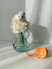 Hamster and flower