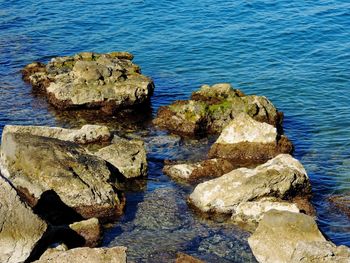 High angle view of rocks at sea shore