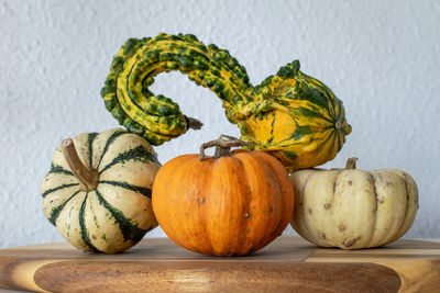 A collection mini pumpkins of various types and shapes on a wooden chopping board