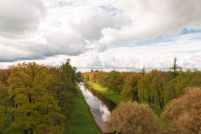 Panoramic view of river amidst trees in forest against sky