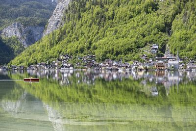 Scenic view of lake by trees