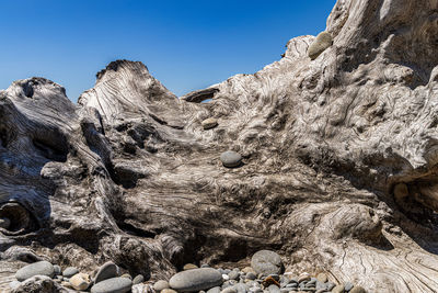 Low ange of driftwood and rocks against a clear sky
