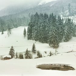 Scenic view of snow covered field