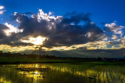 Scenic view of field against sky at sunset