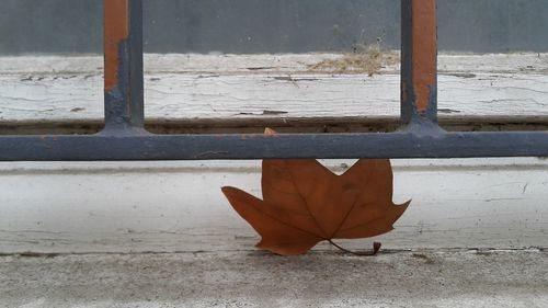Close-up of orange window on wall