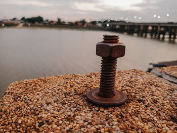 Close-up of rusty screw on rock