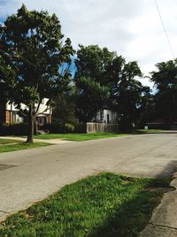 Houses and trees in lawn