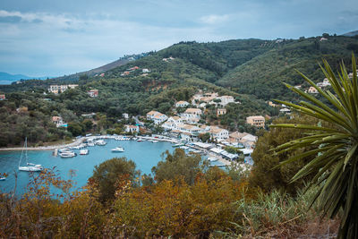 High angle view of trees and sea against sky