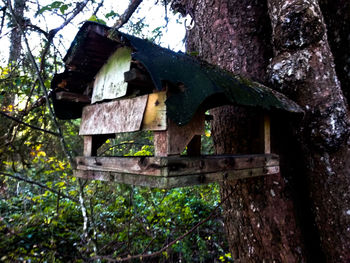 Low angle view of birdhouse on tree in forest