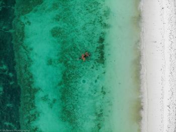 High angle view of crab on beach