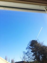 Low angle view of trees against blue sky