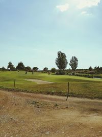 Scenic view of field against sky