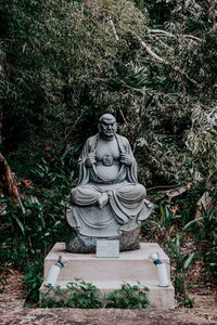 Buddha statue by tree