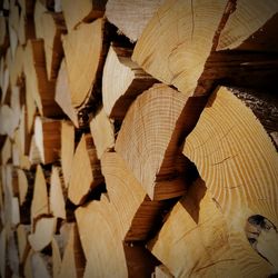 Close-up of wooden logs in forest