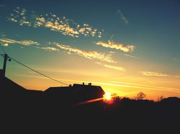 Silhouette of trees at sunset