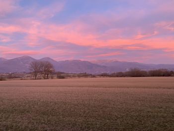 Scenic view of field against sky during sunset