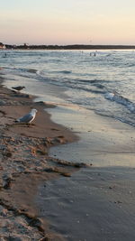 Scenic view of sea against sky at sunset